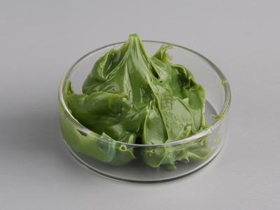 汽車座椅電機潤滑脂